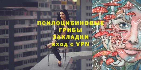 прущая мука Абаза