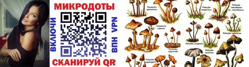 blacksprut вход  Мостовской  Псилоцибиновые грибы Magic Shrooms  хочу  